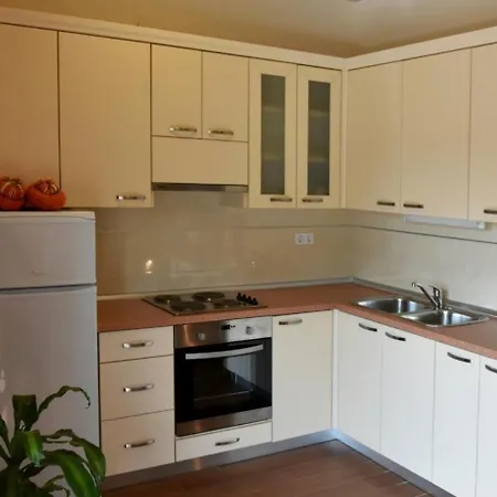 Apartment In Porec/istrien 10098